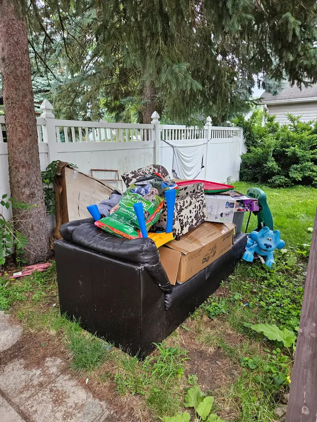 Gentle Hippo Junk Removal — photo from the business 8
