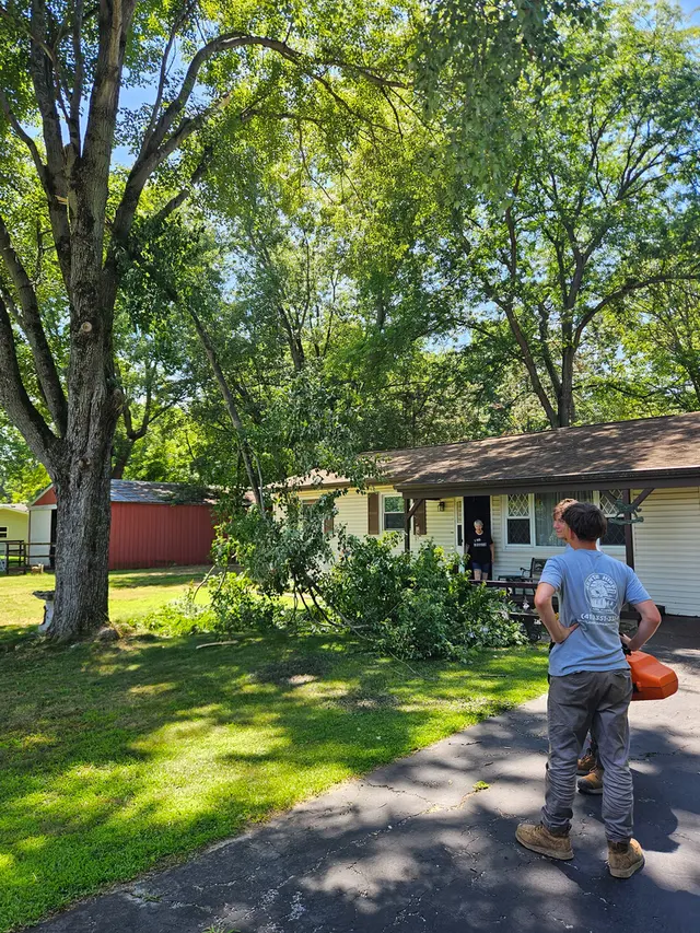 Gentle Hippo Junk Removal — photo from the business 6