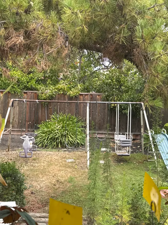EcoGuard Pest Management — customer photo 5