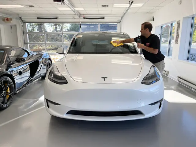 Berardi's Detailing, Ceramic Coating, Window Tinting, & PPF Paint Protection Film — photo from the business 4