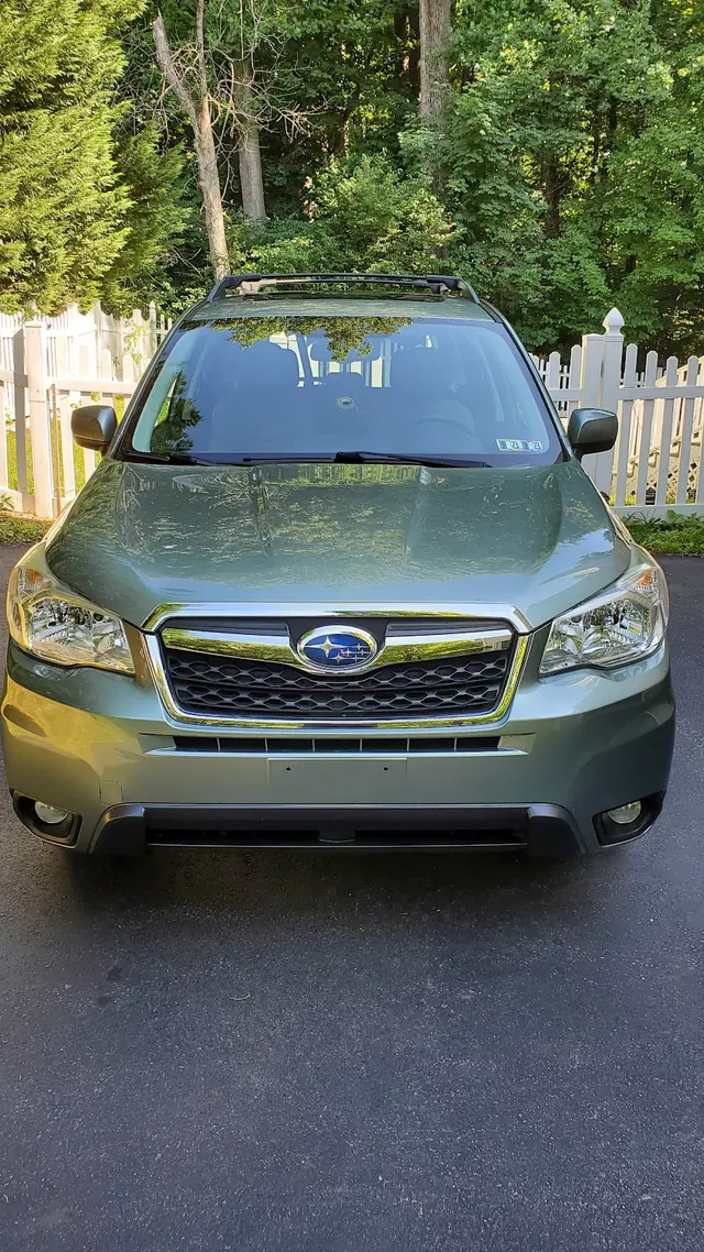 In Great Detail — customer photo 7