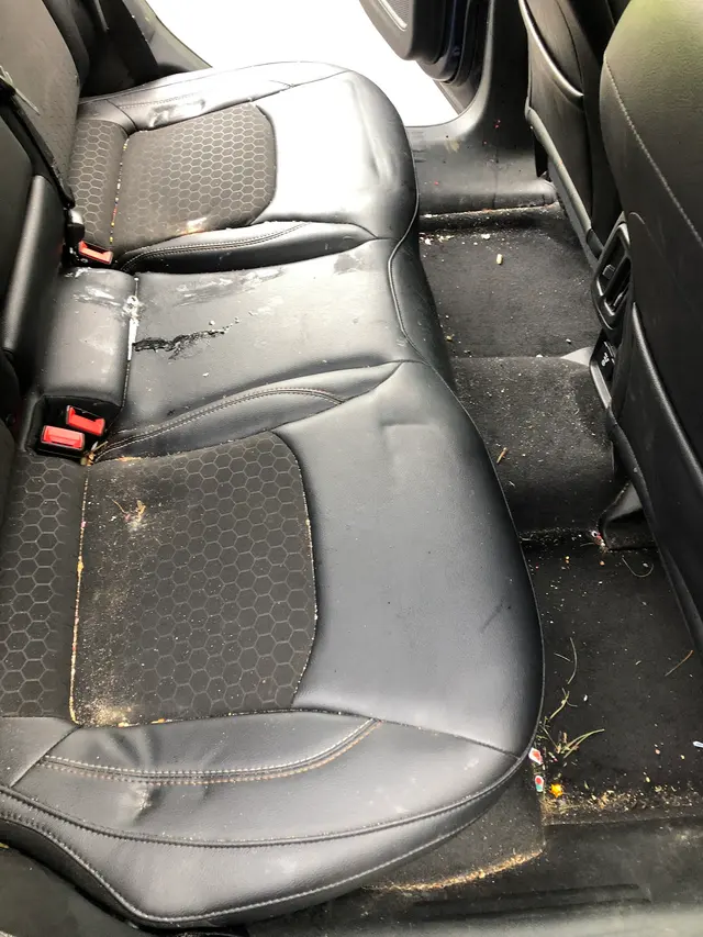 Juniors Custom Auto Detailing — photo from the business 5