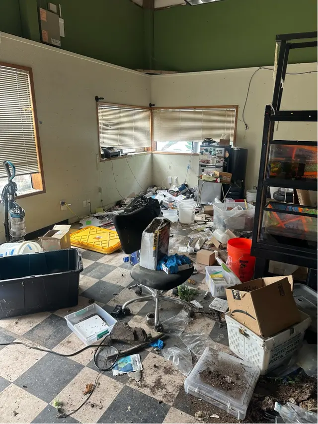 A+ Clean-Up — photo from the business 5