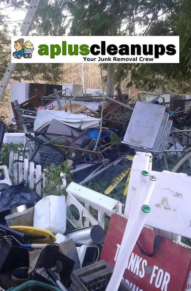 A+ Clean-Up — photo from the business 12