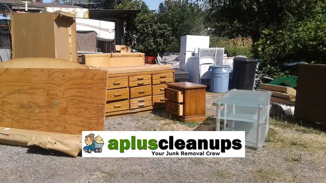 A+ Clean-Up — photo from the business 1