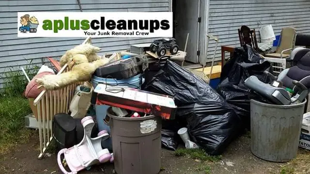 A+ Clean-Up — photo from the business 4