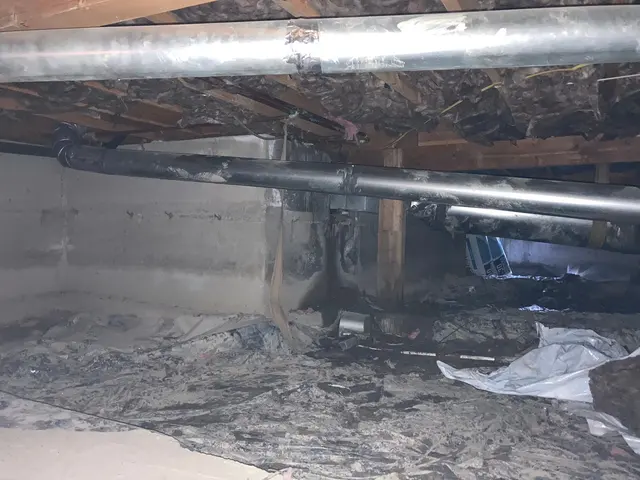 Blue Line Home Services — photo from the business 5