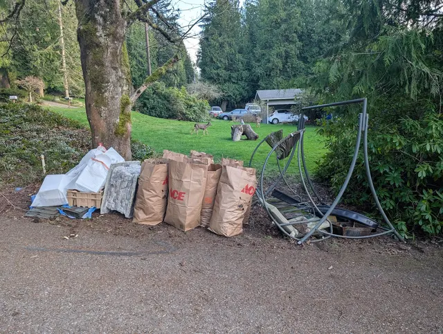 Lukerative Junk Removal — customer photo 3