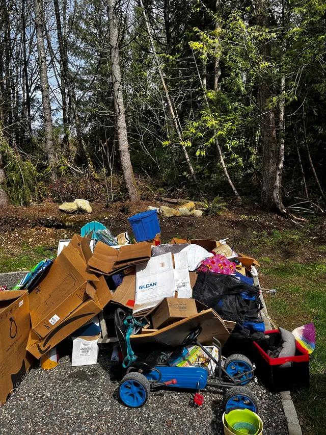 Lukerative Junk Removal — customer photo 7