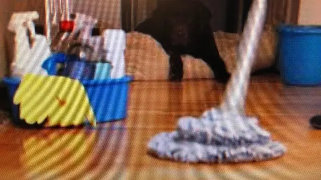 Above It All Cleaning — photo from the business 10