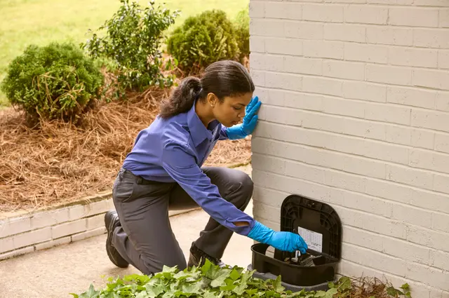 PURCOR Pest Solutions — photo from the business 10
