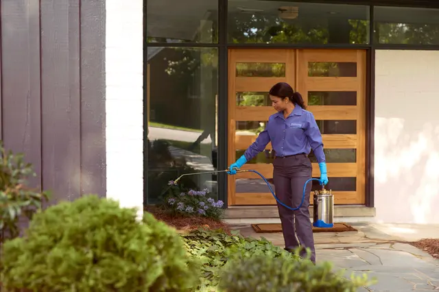 PURCOR Pest Solutions — photo from the business 5