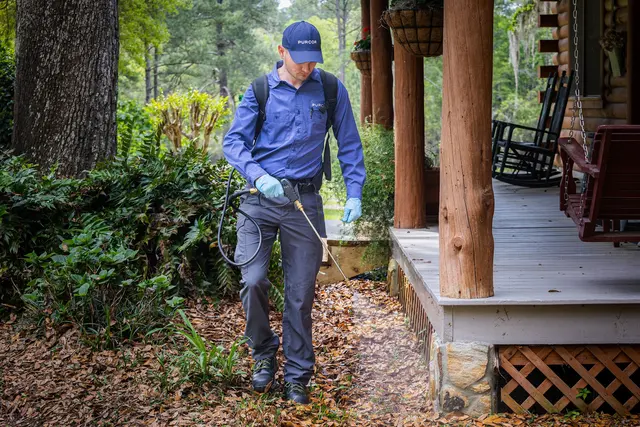 PURCOR Pest Solutions — photo from the business 4