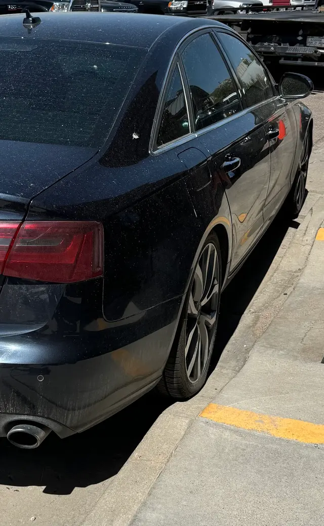 Castle Rock Imports — customer photo 11