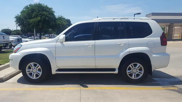 Customer photo from Shelley's review