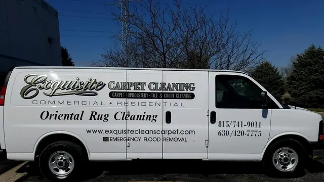 Exquisite Carpet Cleaning — photo from the business 1