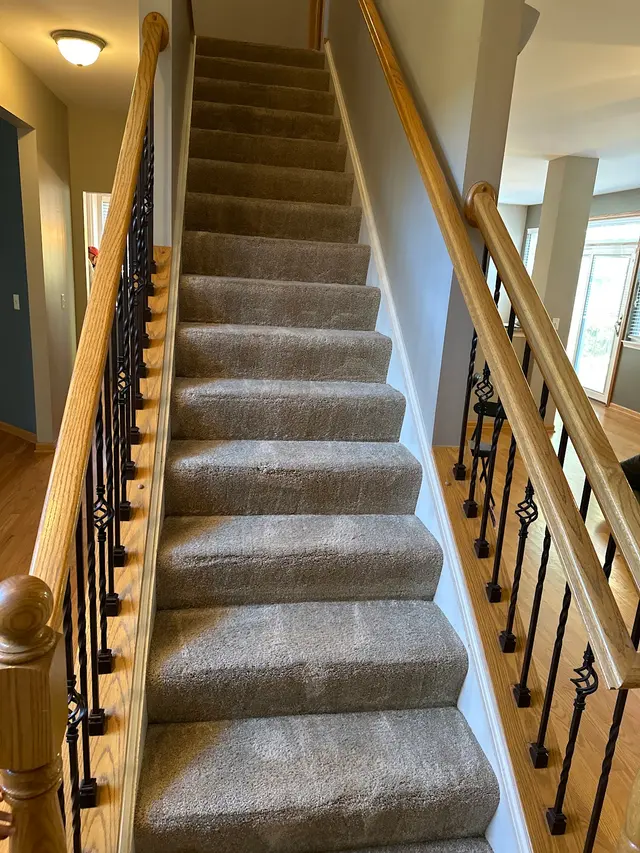 Exquisite Carpet Cleaning — customer photo 8