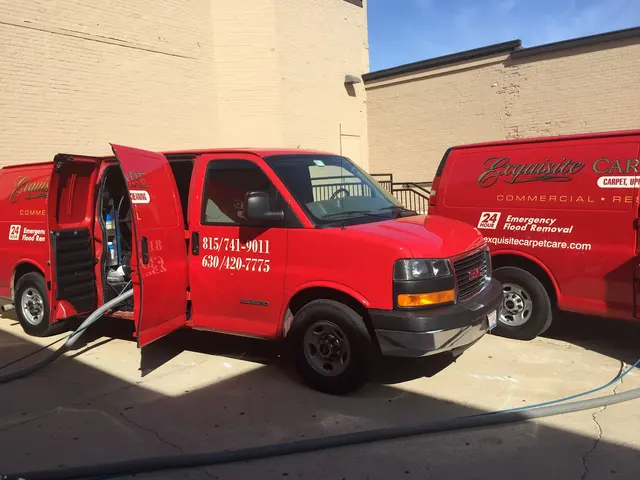 Exquisite Carpet Cleaning — photo from the business 3