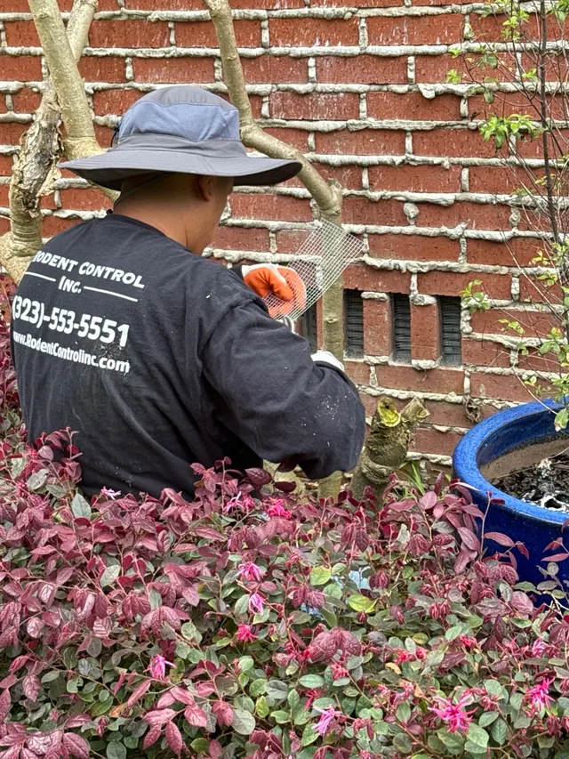 Rodent Control Inc. — photo from the business 5
