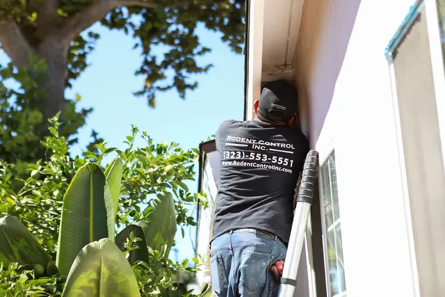 Rodent Control Inc. — photo from the business 7