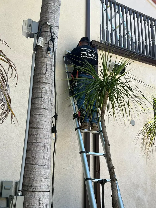 Rodent Control Inc. — photo from the business 10