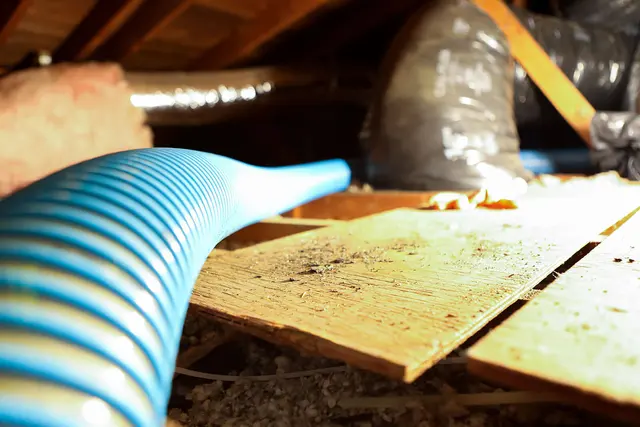Rodent Control Inc. — photo from the business 2
