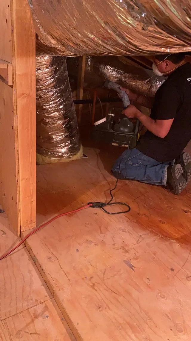 Rodent Control Inc. — photo from the business 12