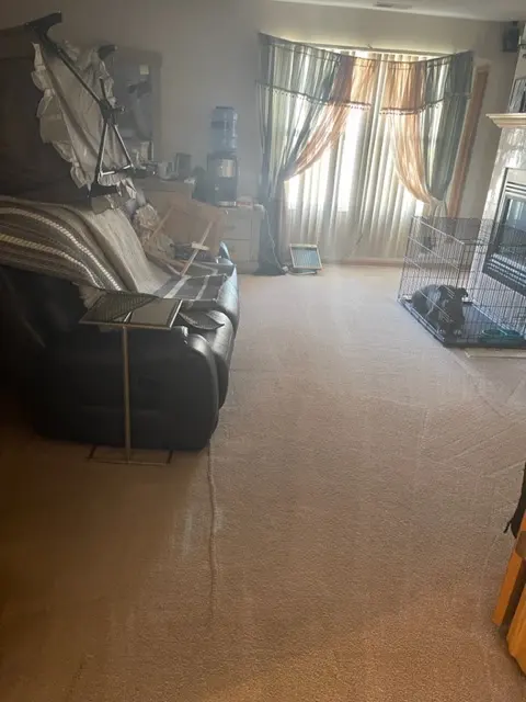 Lock Pro Cleaning Services — photo from the business 7
