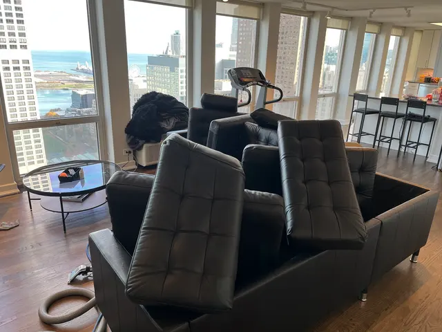 SN Cleaning - Carpet & Upholstery Cleaning — photo from the business 9