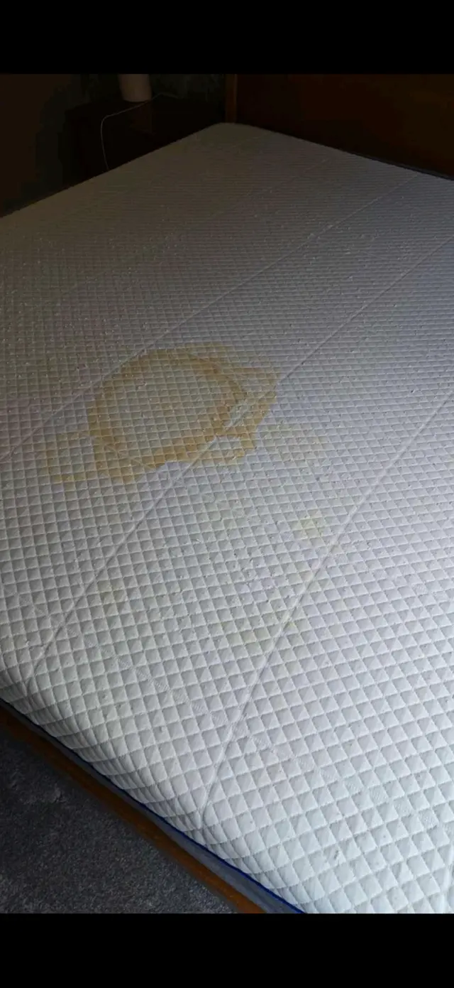 Customer photo from Day's review