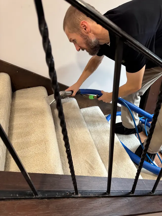 Nature's Way Carpet Cleaning — photo from the business 7