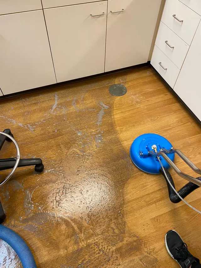 Nature's Way Carpet Cleaning — photo from the business 10