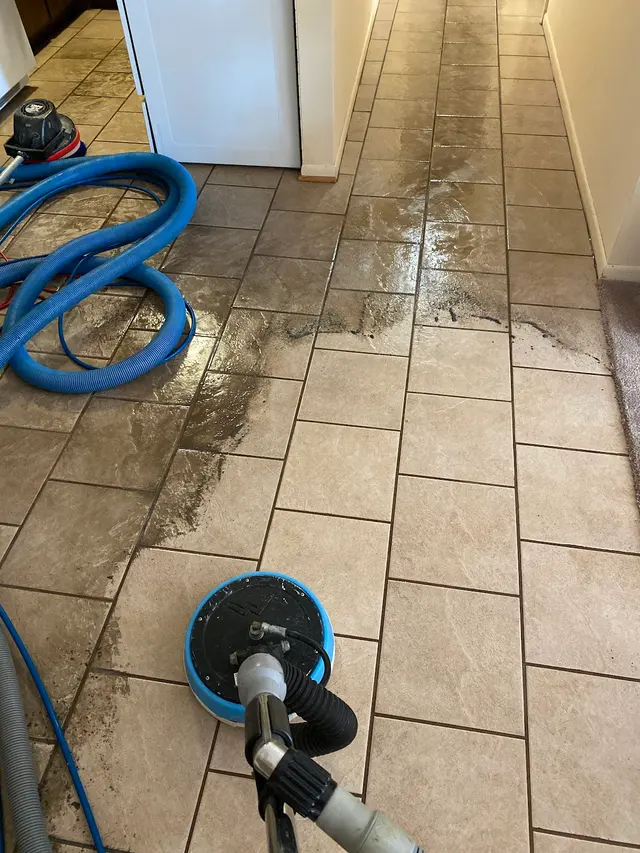Nature's Way Carpet Cleaning — photo from the business 2