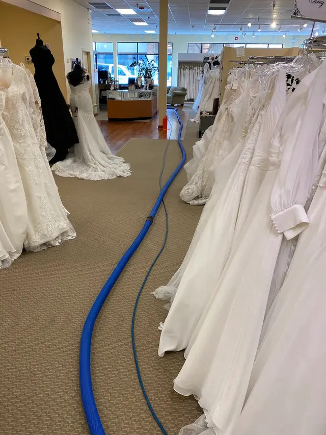 Nature's Way Carpet Cleaning — photo from the business 11
