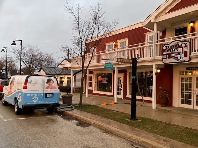 Nature's Way Carpet Cleaning — photo from the business 3