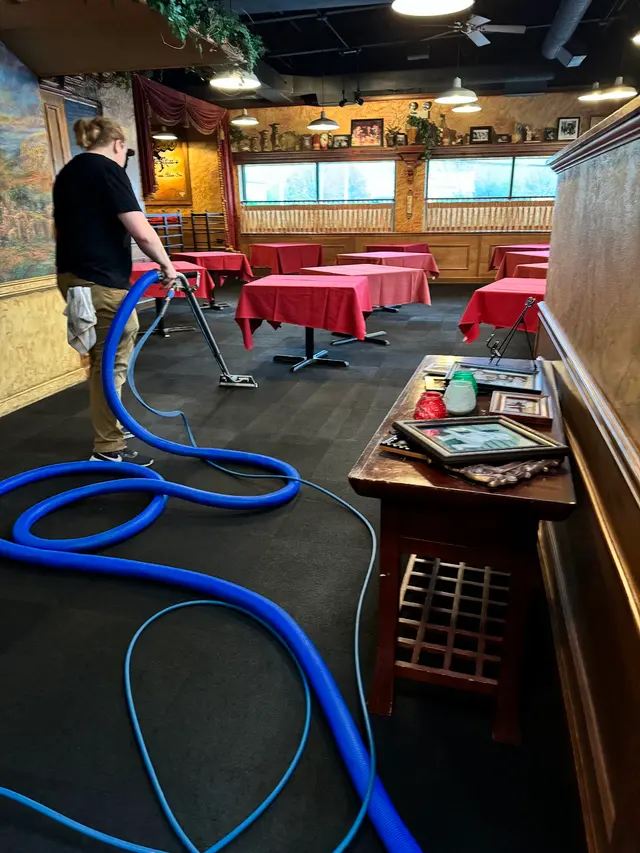 Nature's Way Carpet Cleaning — photo from the business 12