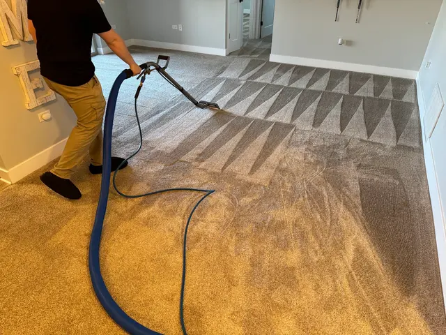 Nature's Way Carpet Cleaning — photo from the business 5