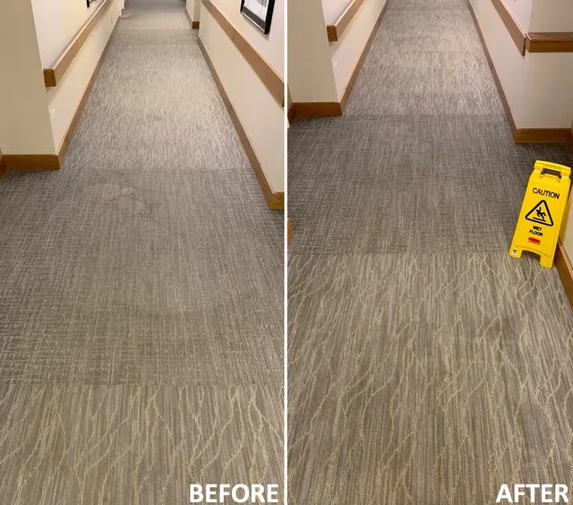 SN Cleaning Inc - carpet & upholstery cleaning — photo from the business 2