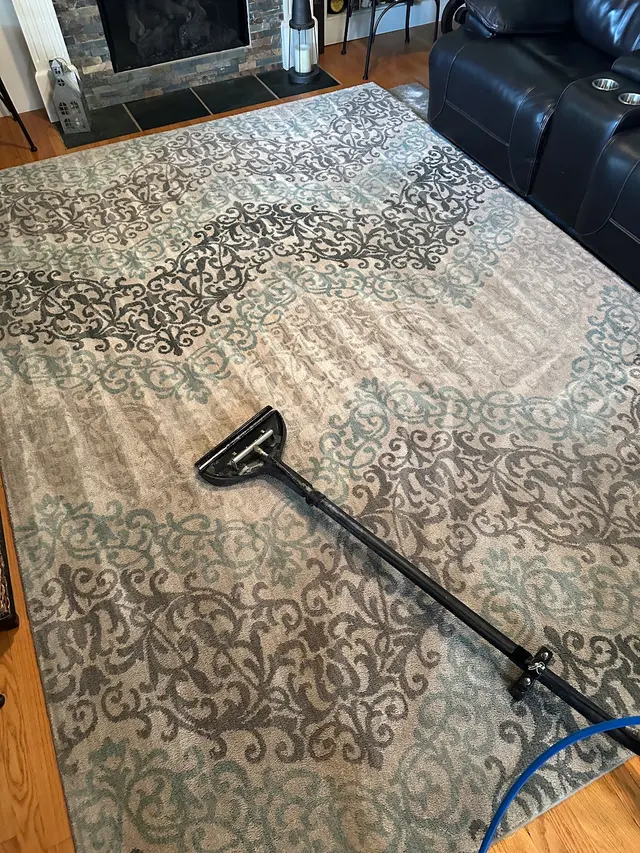 SN Cleaning Inc - carpet & upholstery cleaning — photo from the business 3