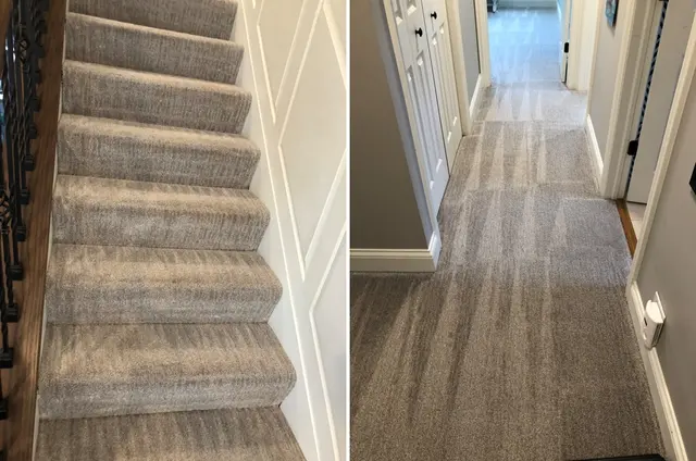 SN Cleaning Inc - carpet & upholstery cleaning — photo from the business 7