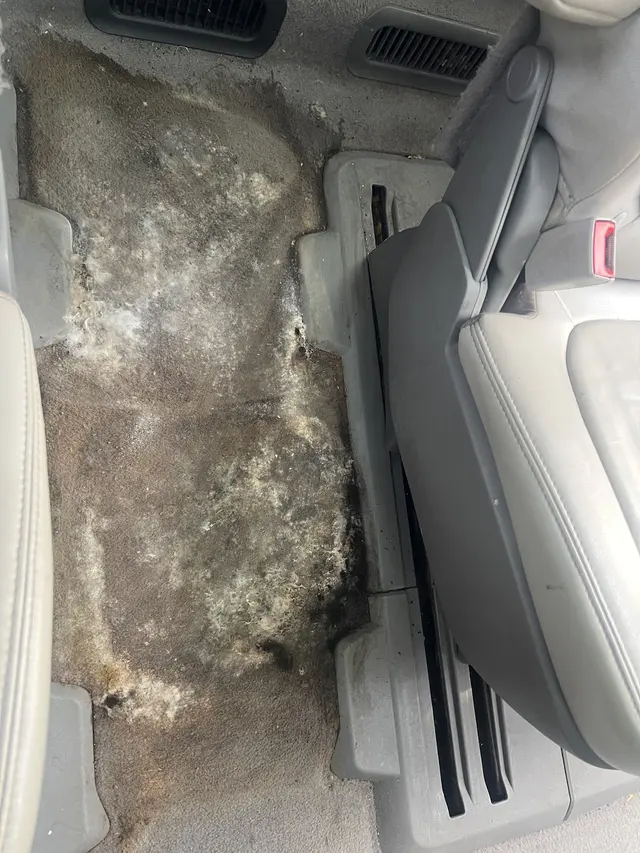 Gold Star Cleaning Services LLC — photo from the business 11