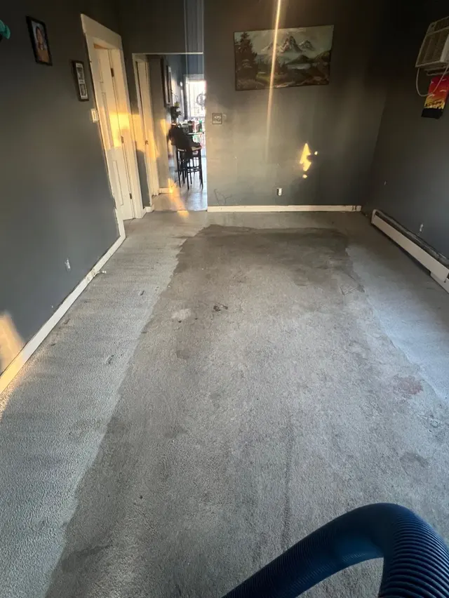 Gold Star Cleaning Services LLC — photo from the business 6