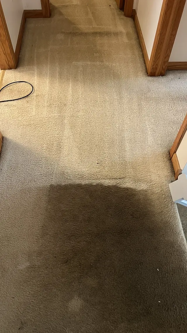 Gold Star Cleaning Services LLC — photo from the business 5