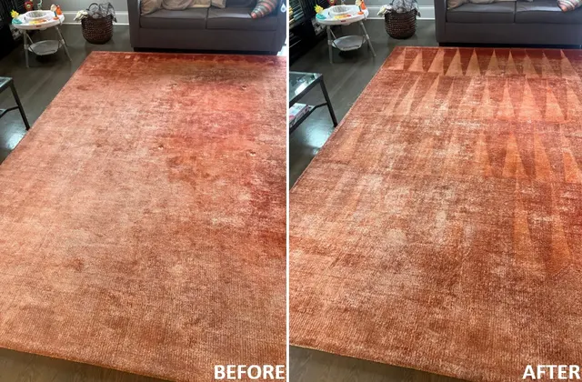 S.N. Cleaning Inc. — photo from the business 3