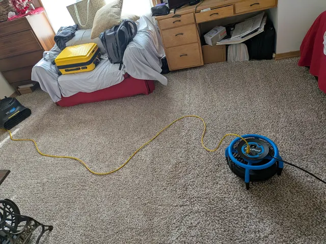 Best carpet cleaning Pro — customer photo 10