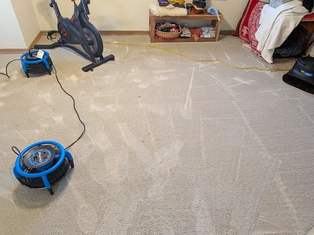 Best carpet cleaning Pro — customer photo 5