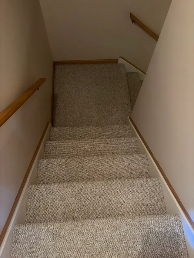 Customer photo of work by Best carpet cleaning Pro, from Lisa Pindelski's review