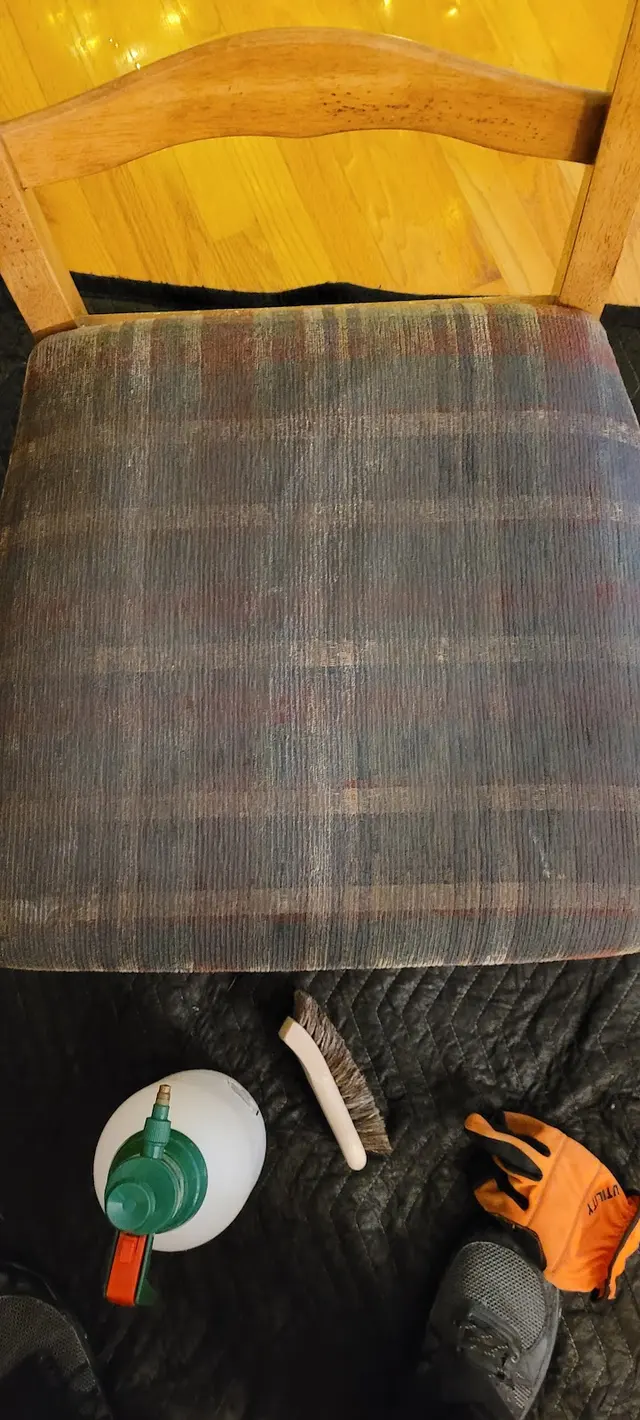 Best carpet cleaning Pro — photo from the business 4