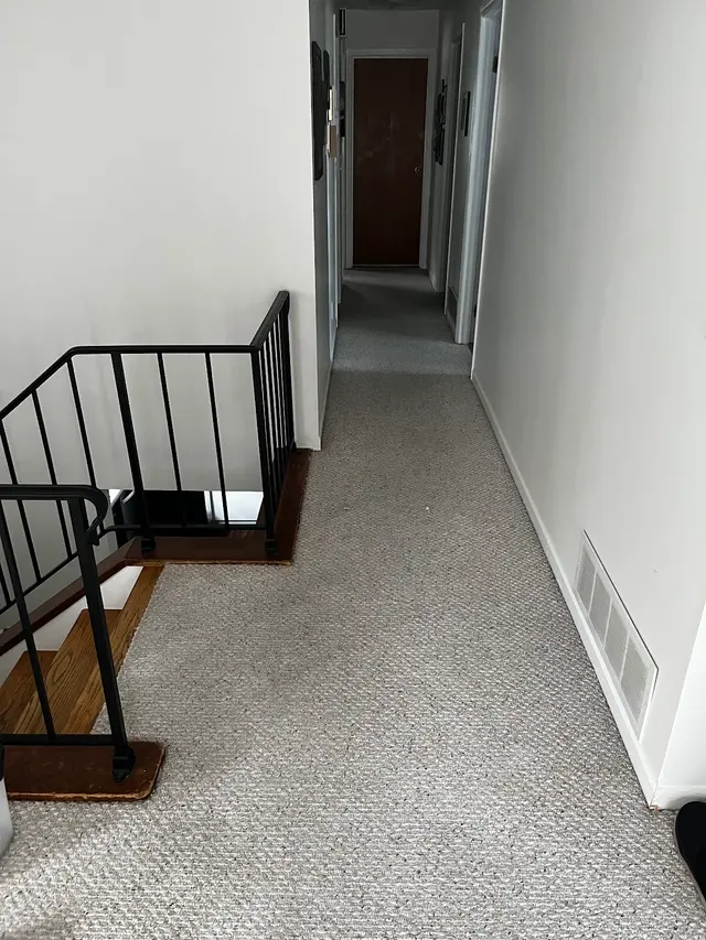 Best carpet cleaning Pro — customer photo 11
