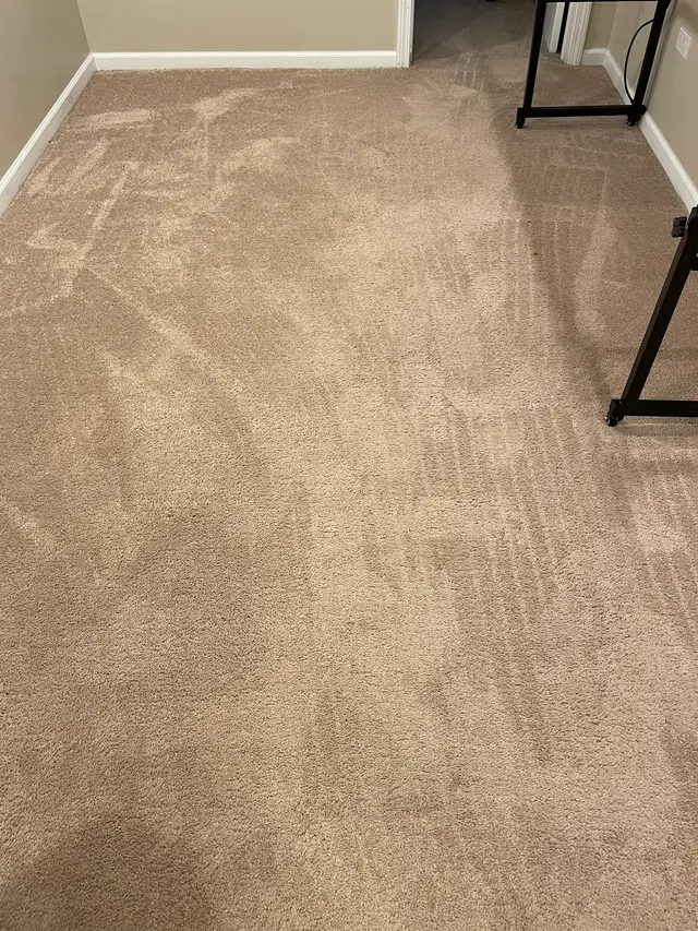 Best carpet cleaning Pro — customer photo 1